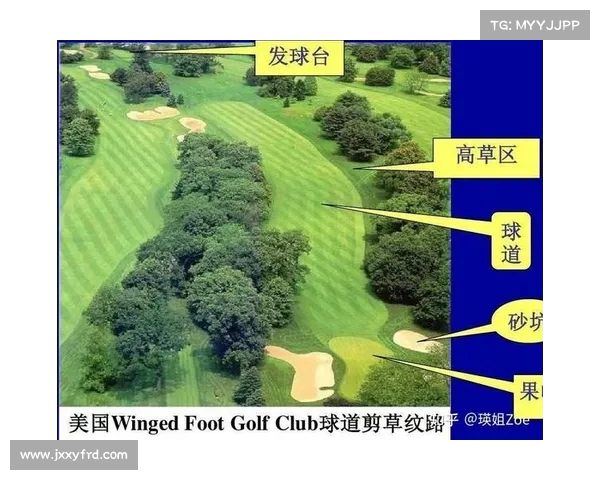 高尔夫球场障碍区设计与技巧解析提升球技的关键所在 高尔夫球场障碍区设计与技巧解析提升球技的关键所在